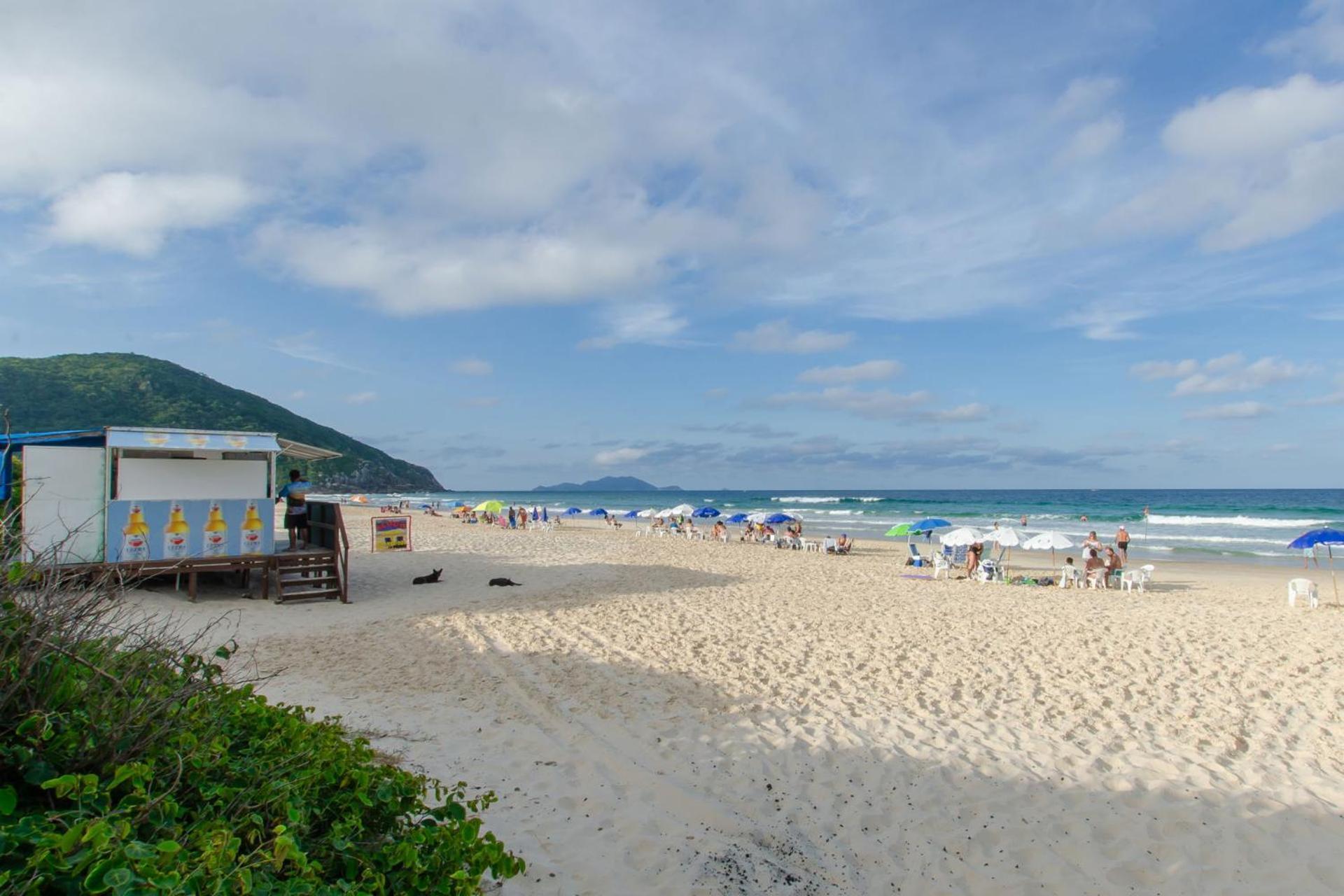 Aconchego Com Piscina A 450M Da Praia Vc1555 Διαμέρισμα Florianópolis Εξωτερικό φωτογραφία